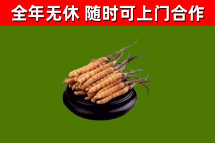 临江烟酒回收冬虫夏草.jpg
