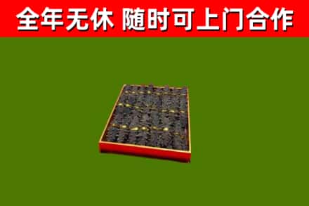 临江烟酒回收海参.jpg